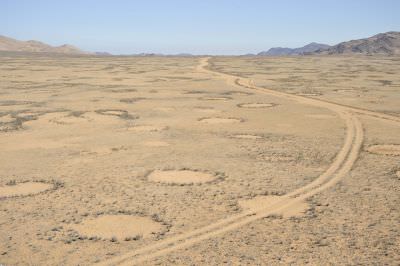 13.06 IRDNC trip 120 Fairy circles