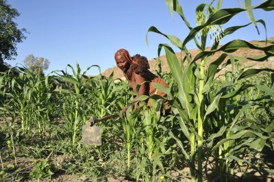 11.07 Marienfluss 178 Crops