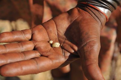 11.07 Marienfluss 198 Commiphora