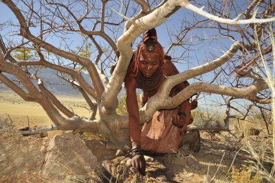 11.07 Marienfluss 211 Commiphora