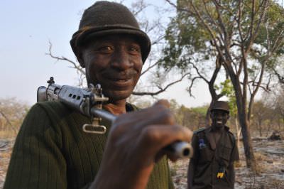 11.09 Caprivi 085 Ranger on NE game count