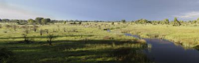 14.12 KAZA hol 368 Linyanti river