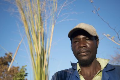 16.06 Kavango 142 Thatching grass