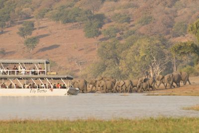 15.07 KAZA PB 243 Elephants