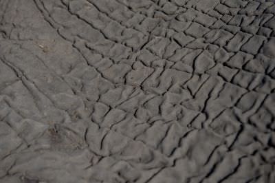 15.07 KAZA GB 1168 Elephant carcass