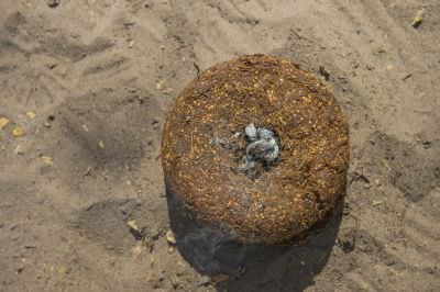 15.07 KAZA GB 1746 Chilli bomb