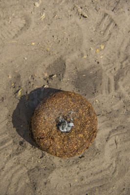 15.07 KAZA GB 1747 Chilli bomb