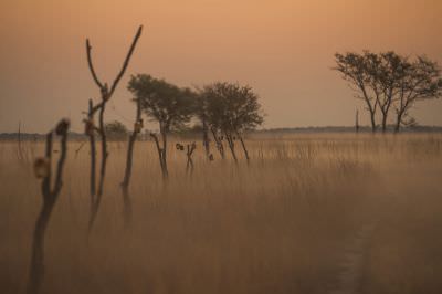 15.07 KAZA GB 2288 Elephant fence
