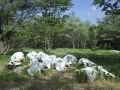 16.01 Film Zambezi 021 Elephant skulls