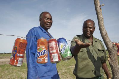 16.01 Film Zambezi 065 Elephant fence