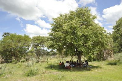 16.01 Film Zambezi 158 Audit