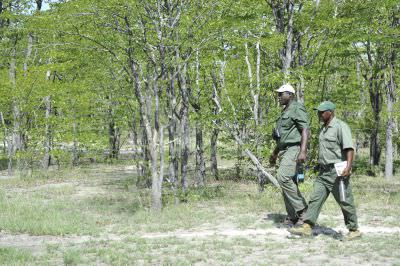 16.01 Film Zambezi 031 Game guards