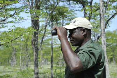 16.01 Film Zambezi 038 Game guard