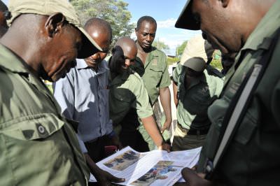 16.03 Zambezi media 018 Game guards