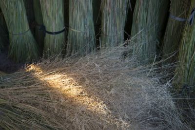 16.06 Kavango 62 Thatching grass