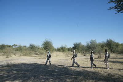 16.06 Kavango 75 Game guards