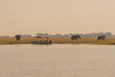 15.07 KAZA GB 2104 Elephants