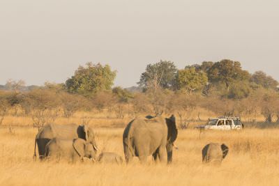 15.07 KAZA PB 63 Elephants