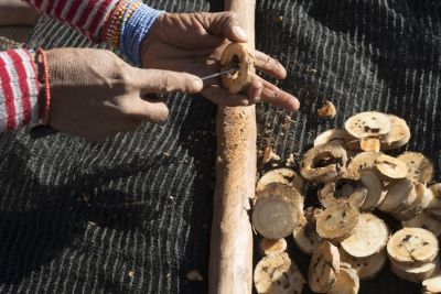 18.06 Nyae Nyae 58 Devils claw