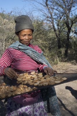 18.06 Nyae Nyae 67 Devils claw