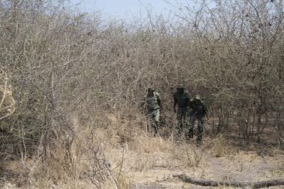 18.09 Zambezi 116 Game guard