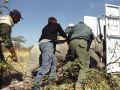 09.07 Rhino capture 026 Etosha