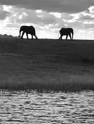 18.12 Zambezi Hol 135