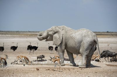 1904 CWCP Indicator6 053