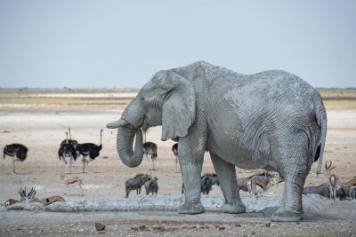 1904 CWCP Indicator6 056