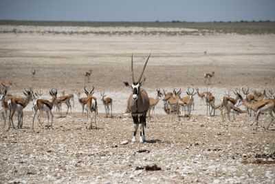 1904 CWCP Indicator6 063