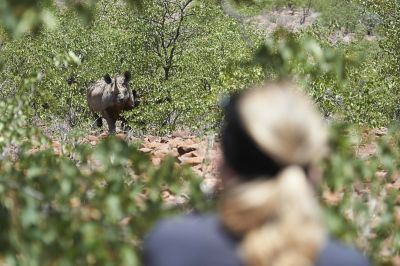 13.12  Kunene 151 Rhino tracking