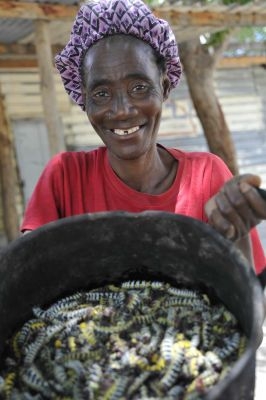 14.01 Elders 016 Veld food. Mopane worms